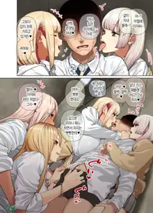 Oshikake Bakunyuu Gal Harem Seikatsu!, 한국어