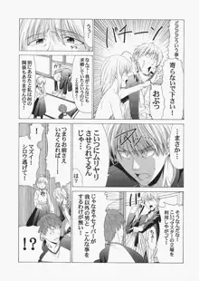 Saber ～ヒロユキFate同人誌総集編＋α～, 日本語