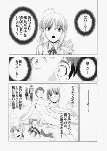 Saber ～ヒロユキFate同人誌総集編＋α～, 日本語