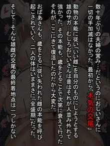 エ●むかしばなし『ももたろう』, 日本語