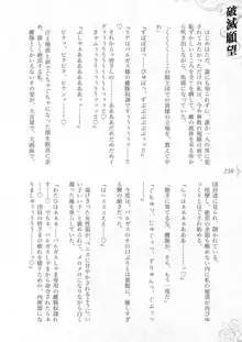 破滅願望-天才美少女魔術師が自分から犯されに行く話, 日本語