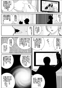 おんな警部補姫子２, 日本語