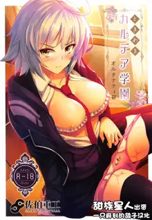 Tokimeki Chaldea Gakuen Alternative, 中文