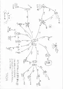 鬼畜王ランス初回本, 日本語