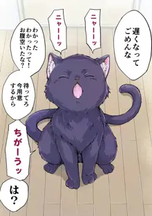 独占欲が強すぎるヤンデレ飼い猫ちゃん, 日本語