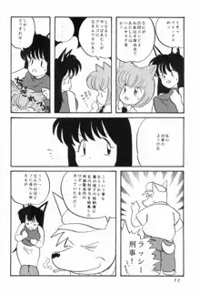 CATなデカちゃん, 日本語