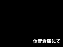 サキュバス学園, 日本語