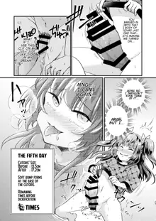 Tsundere Imouto Inbou Kaizou Keikaku | Tsundere Little Sister Cock Modification Plan, English