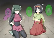 Pokemon - Team Rainbow Rocket brainwashing harem project, English