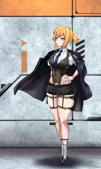 Welrod, 한국어