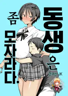 Otouto wa Chotto Are | 동생은 좀 모자라다., 한국어