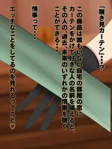 不思議な道具を売る怪しいお店, 日本語