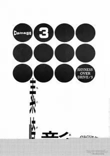 DAMAGE#3, 日本語