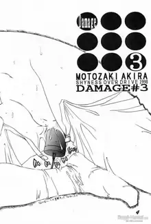 DAMAGE#3, 日本語