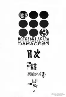 DAMAGE#3, 日本語