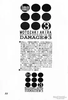 DAMAGE#3, 日本語