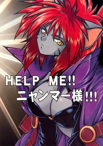 HELP ME！！ニャンマー様！！