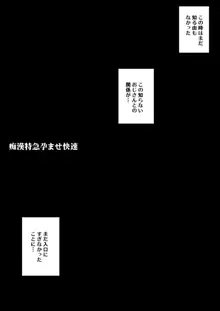 『痴漢特急孕ませ快速 前・後編』, 日本語