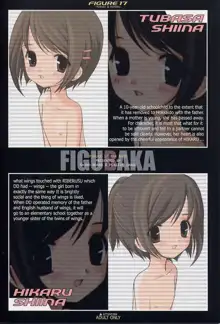 FIGUBAKA, 日本語