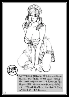 大晦日！十六夜祭！！ ラフ画集 in M女専科EX, 日本語