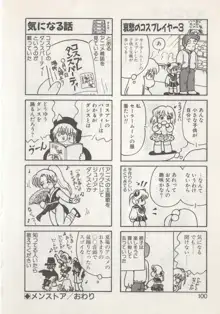 ひでSANの館S, 日本語