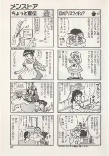 ひでSANの館S, 日本語