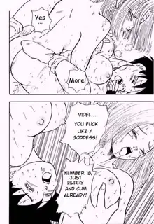 Videl & Number 18, English