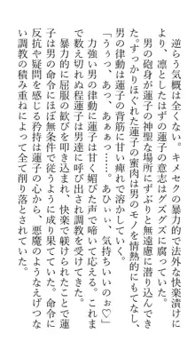 秘封レイプ脅迫調教人生強制終了合同, 日本語