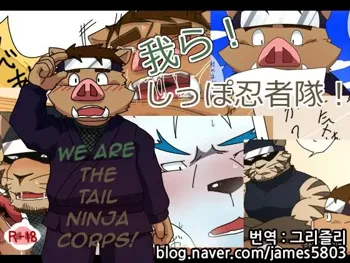 Warera! Shippo Ninja Tai! -Bangai Hen- | We Are The Tail Ninja Corps!, 한국어