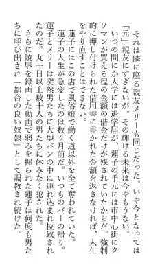 秘封レイプ脅迫調教人生強制終了合同, 日本語