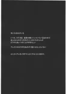 放課後淫行生 めぐみ, 日本語