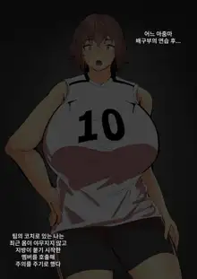 Mucchiri Mama-san Volley, 한국어