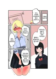 Furyo-chan to Fuukiiin-chan | 불량짱과 풍기위원짱, 한국어