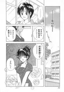 オレンジ色の花, 日本語