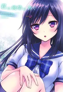 Kimi no Junjou ni Tsugu, 中文