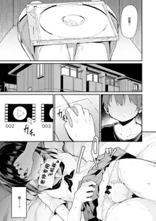 Ochiba Nikki Another Page 4, 中文