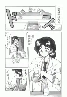 麗しのわさび茶漬け, 日本語