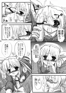 はにーすいーと☆とーすと, 日本語