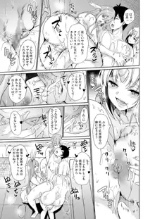 my different world harem 3, 日本語