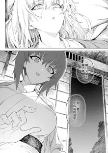 ERIKA Vol. 1-3 (decensored), 中文