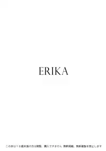 ERIKA Vol. 1-3 (decensored), 中文