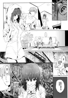 ERIKA Vol. 1-3 (decensored), 中文