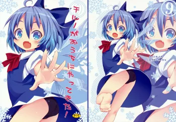 Cirno ga Ouchi ni Yattekita! | Cirno Showed Up at My House, English