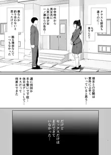 かのまましんどろーむ, 日本語