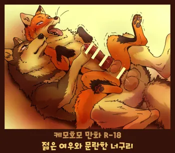 Tanuki x Kitsune | 젊은 여우와 문란한 너구리, 한국어