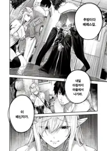 Dokushinn Hunter no Deai ha Elf no Mori de♡ Ch. 2, 한국어