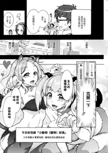 Tokushu Kango Senmon Gakkou Gohoushi Gakuen Ch. 5, 中文