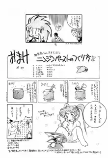 ね・わっかるでしょー Vol.2 bis, 日本語