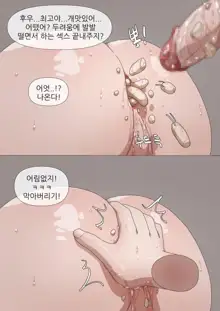 Excretion Assistant 1-6, 한국어