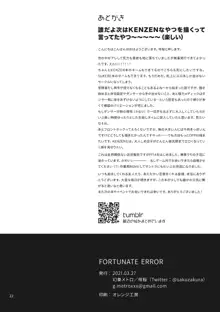 FORTUNATE ERROR, 日本語